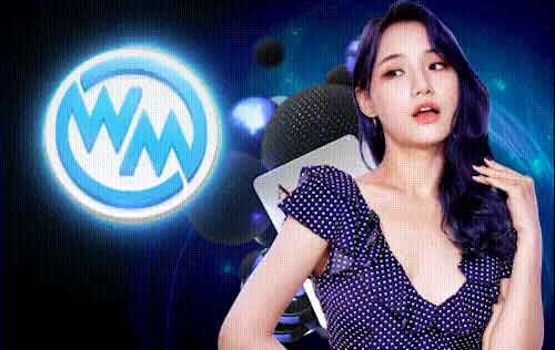 wm GAMING